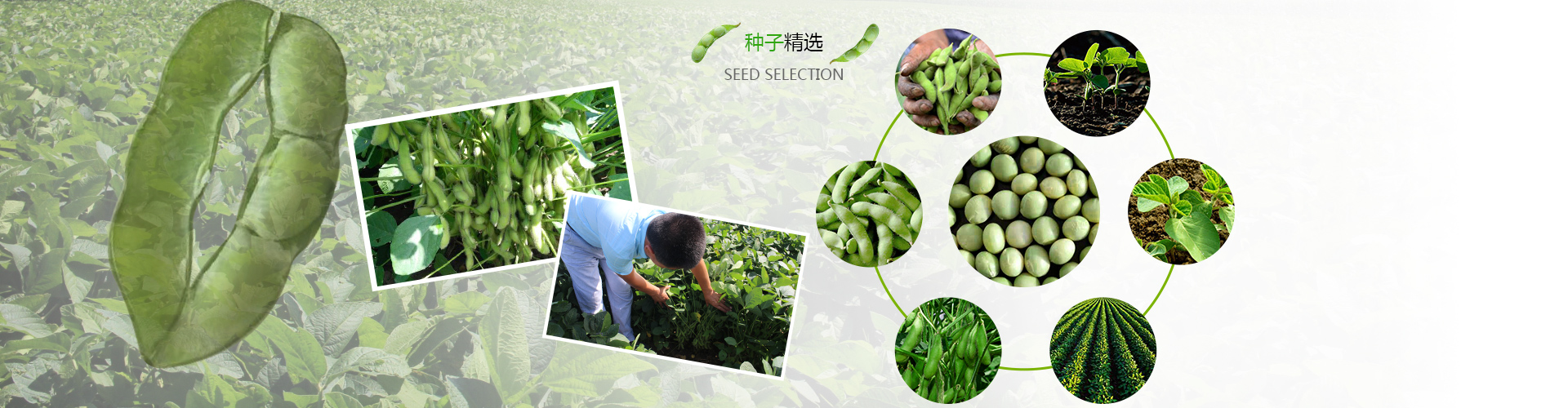 開原市權成種業有限公司